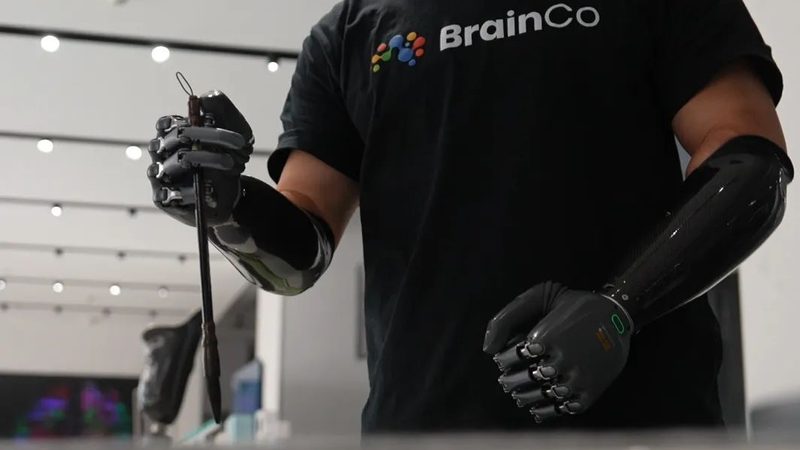 数据治理平台国产化：功能对比与选型要点
